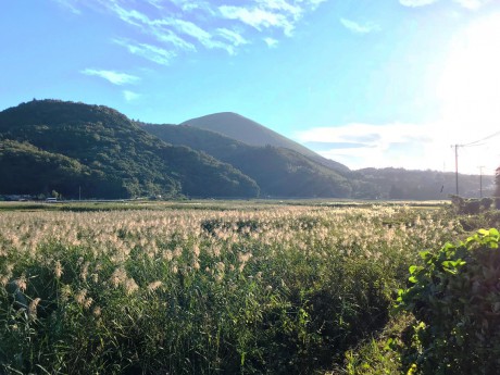 池の里