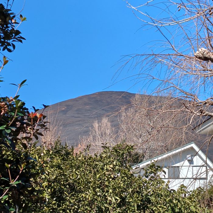山焼き直後の大室山