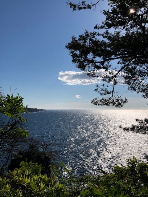 海