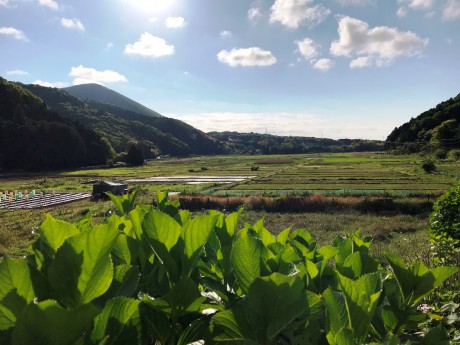 池の里山